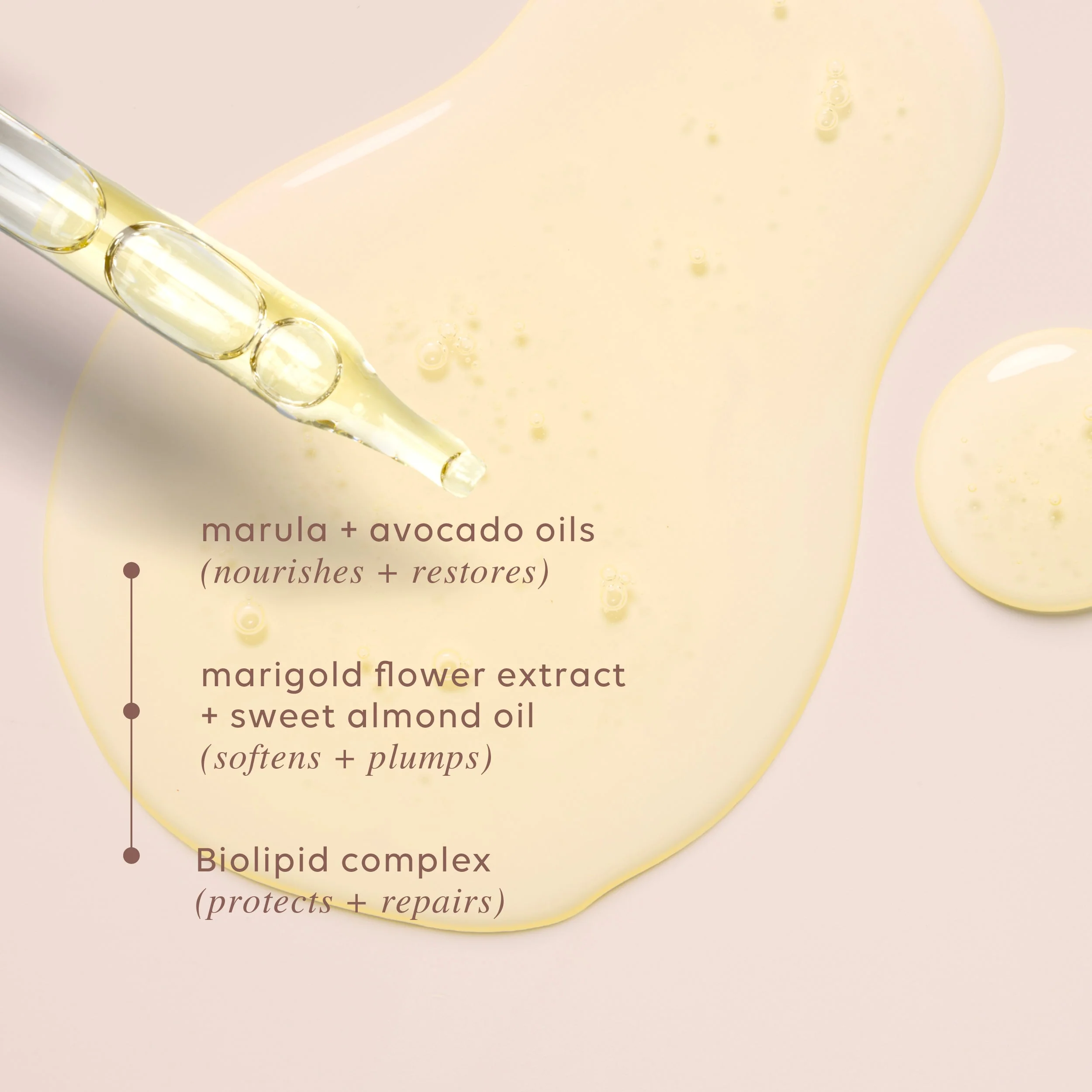 ENDLESS GLOW - LUMINOUS FACE OIL - Image 8